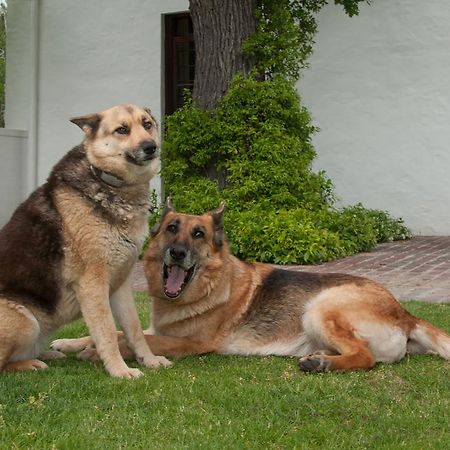 La Galiniere Guest Cottages Franschhoek Esterno foto