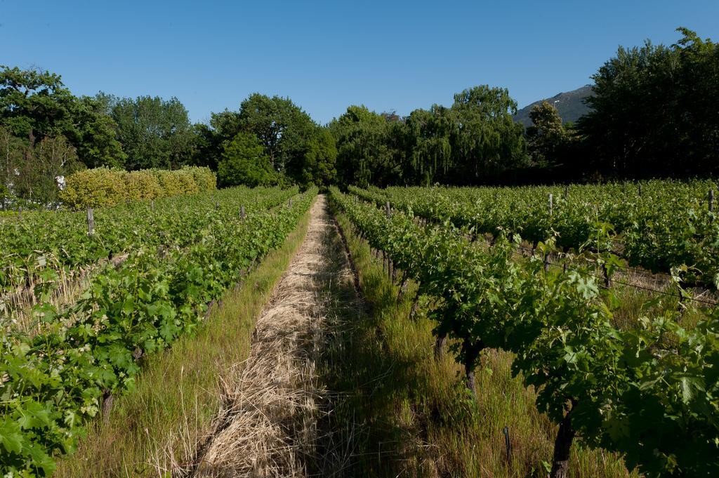 La Galiniere Guest Cottages Franschhoek Esterno foto