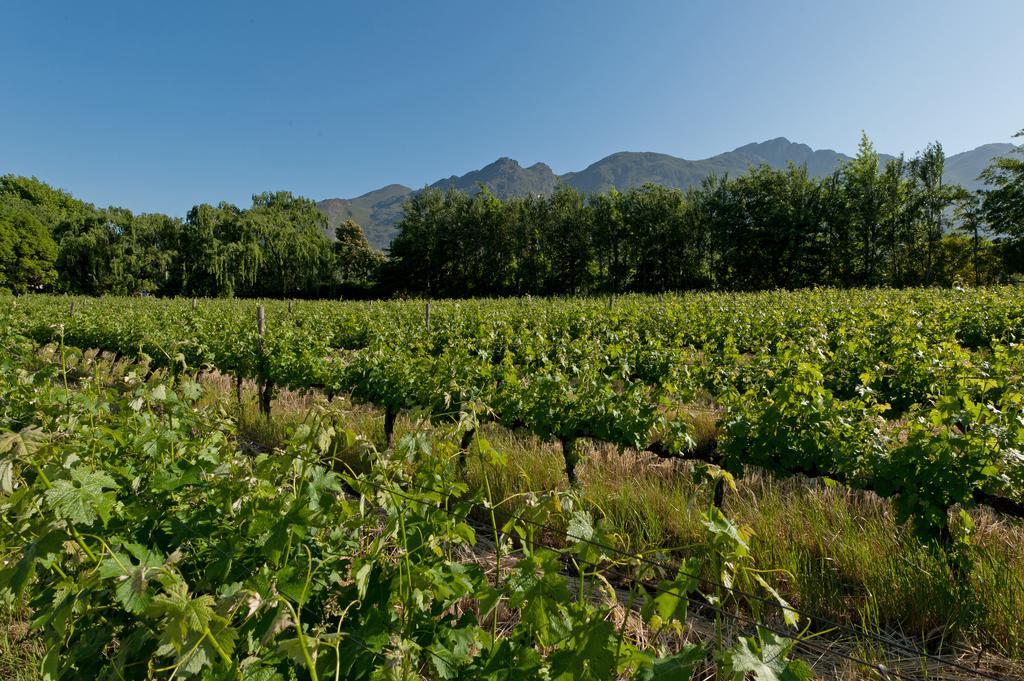 La Galiniere Guest Cottages Franschhoek Esterno foto