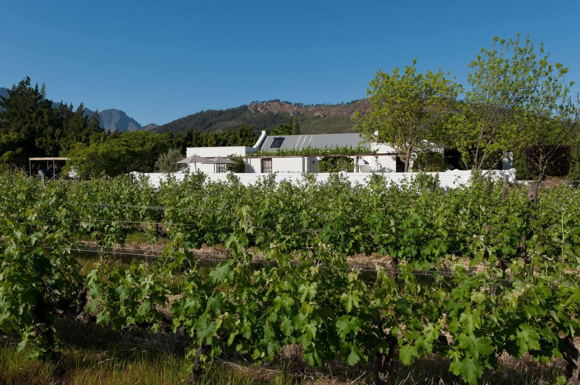 La Galiniere Guest Cottages Franschhoek Esterno foto